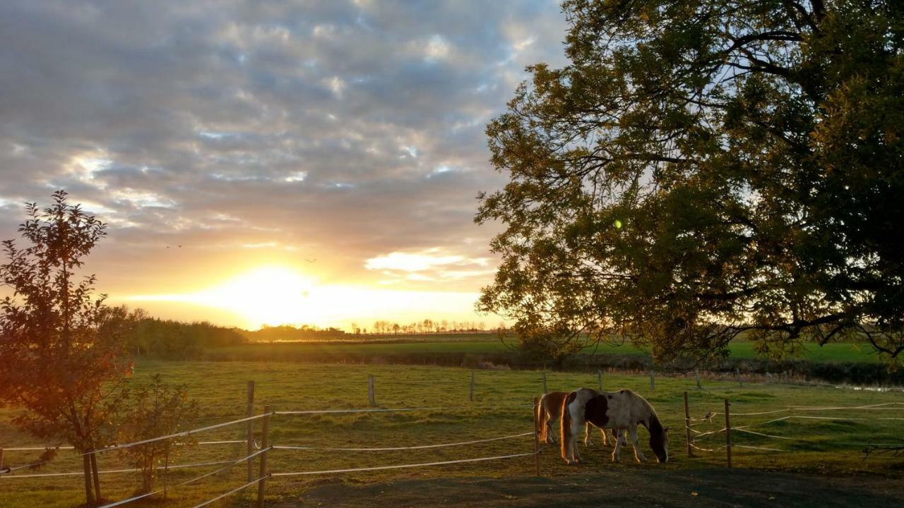 Appartement Im Stall "Lune River Ranch" Loxstedt المظهر الخارجي الصورة